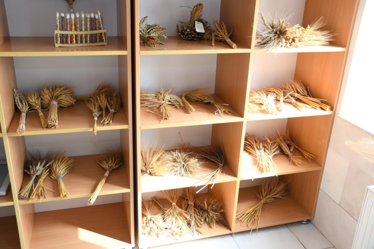 Zəfər Qurbanov “Golden West” şirkətinin nümayəndələri ilə görüşdü - FOTOLAR